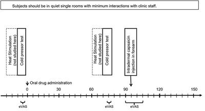 Combining Electrodermal Activity With the Peak-Pain Time to Quantify Three Temporal Regions of Pain Experience